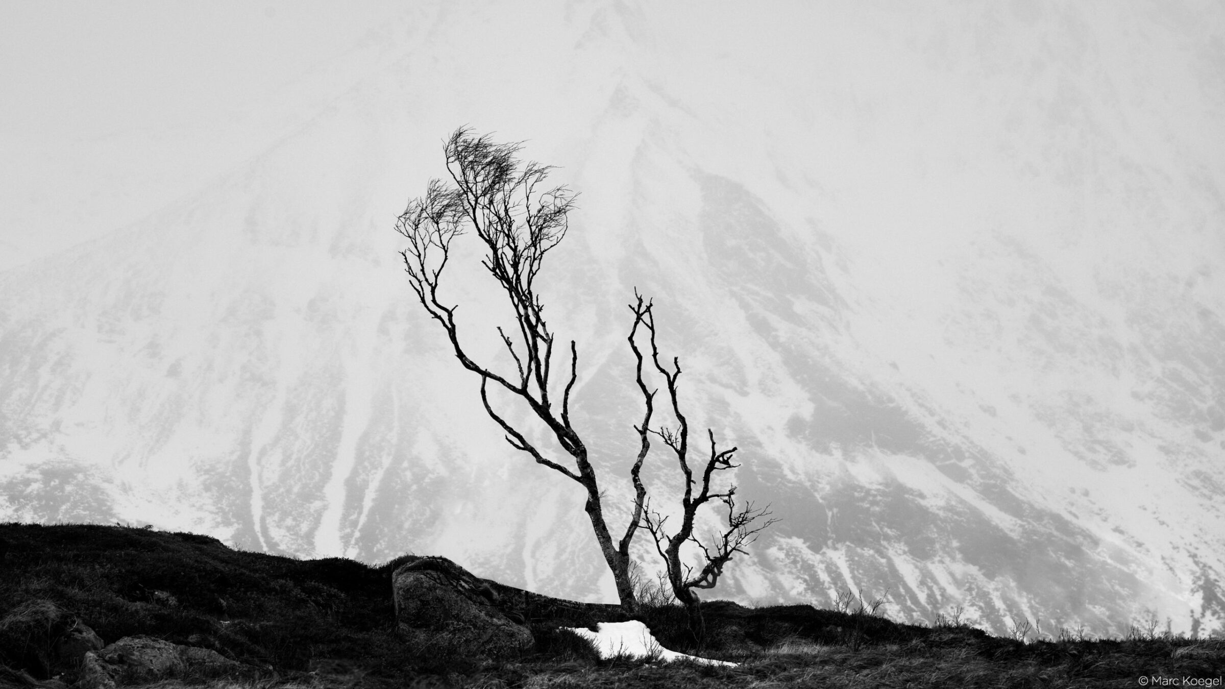 Achromatic photography with IQ4 150MP