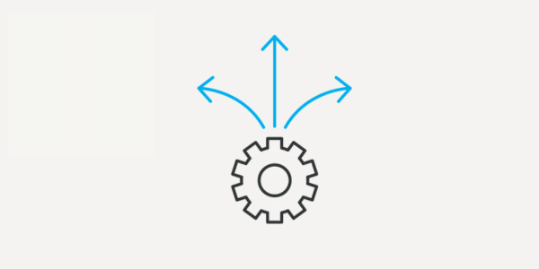 Flexible options of data storage