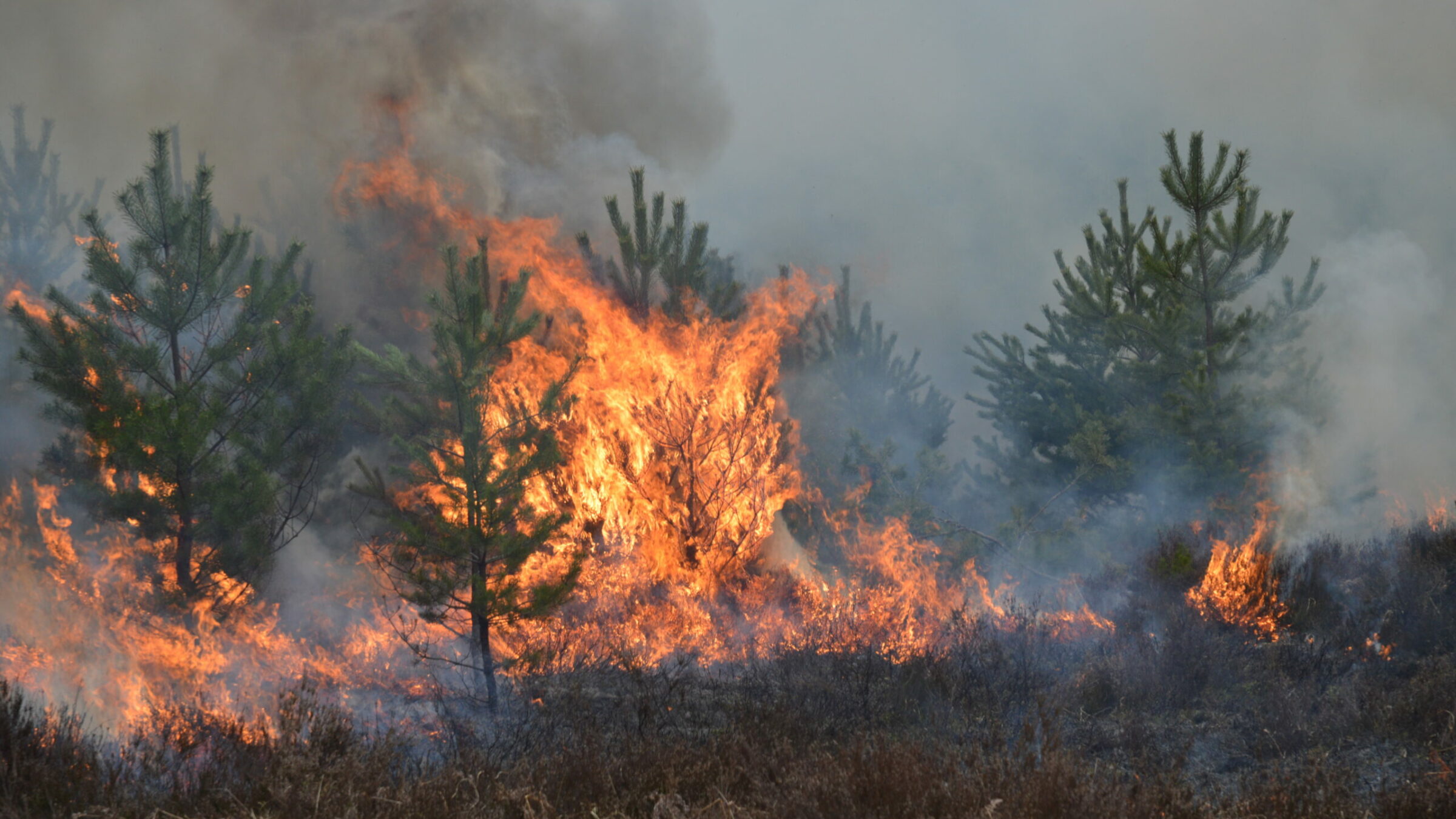 Phase One cameras in disaster management and recovery mapping