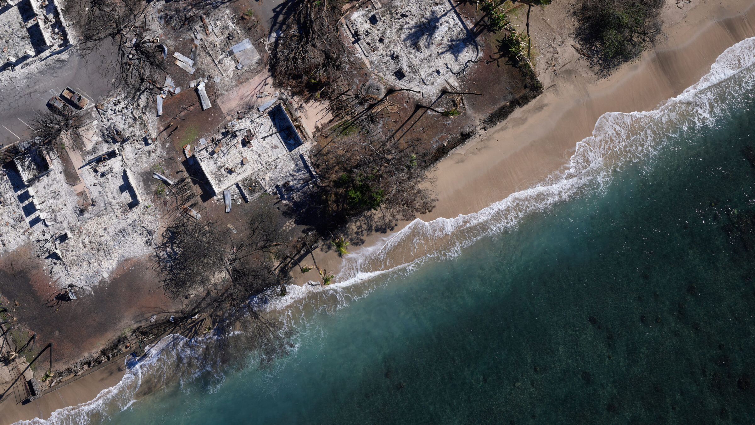 Environmental monitoring with Phase One aerial imaging