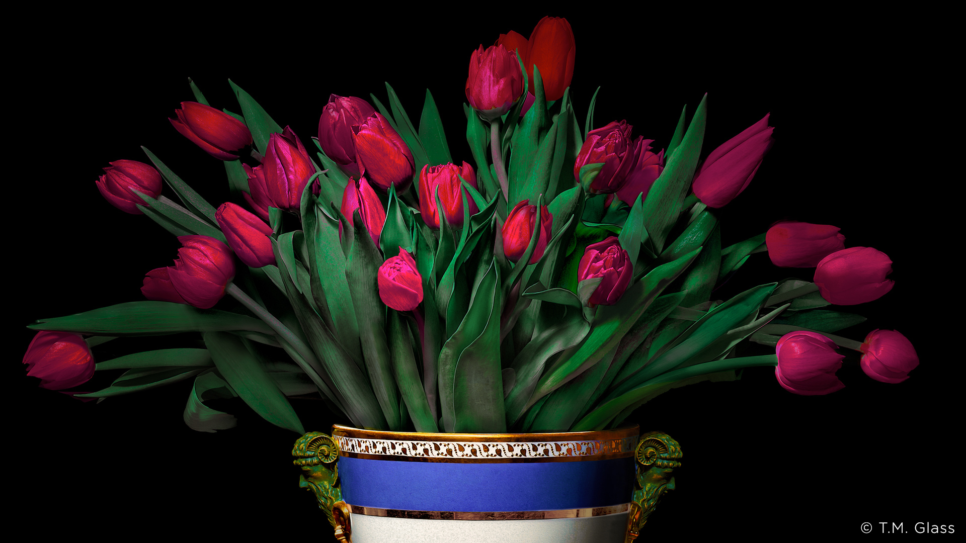 TM Glass artful flower portrait photography