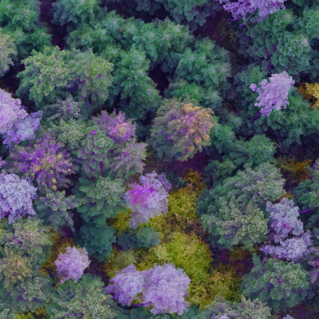 Phase One aerial mapping in forestry and agriculture